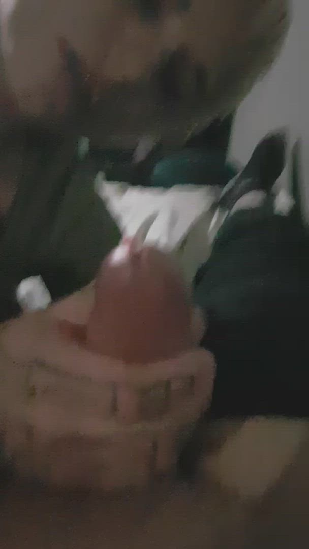 Amateur porn video with onlyfans model Koalakittyyyy <strong>@koalakittyyy</strong>